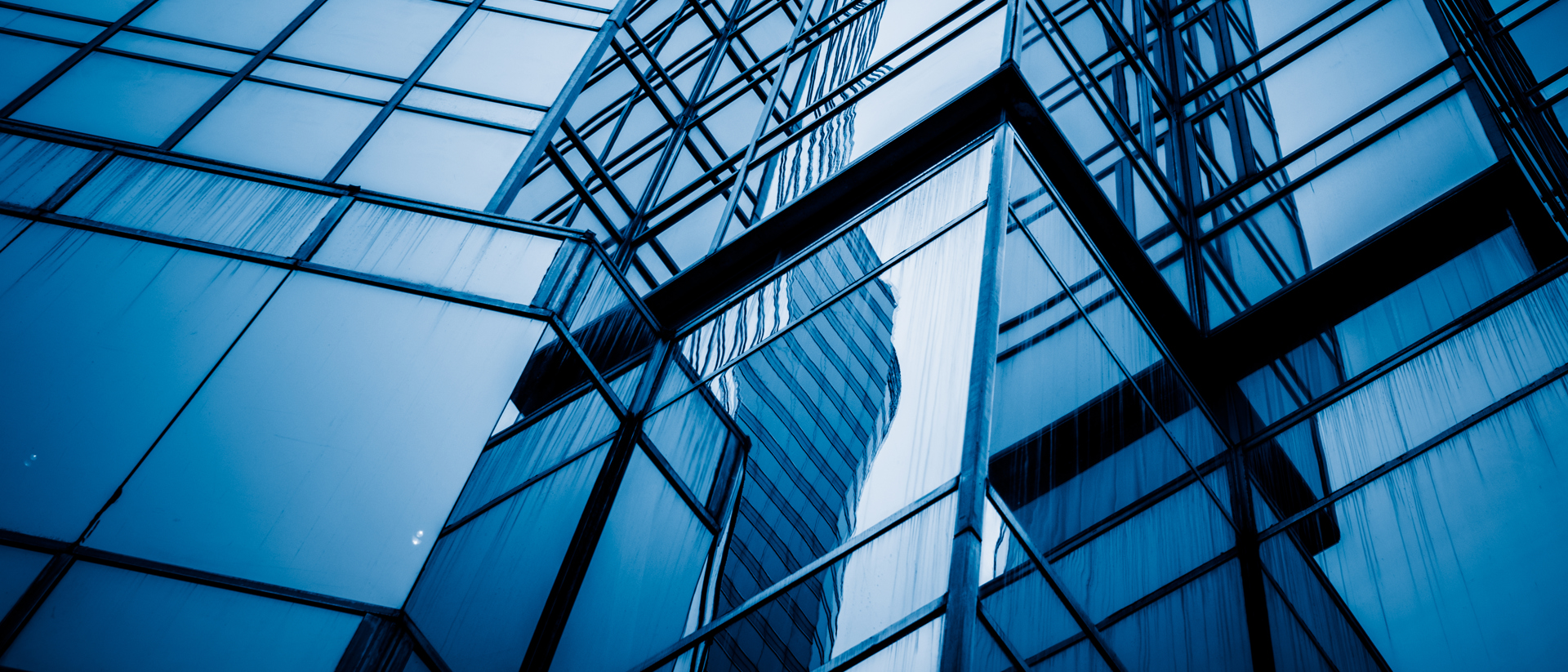 Shutterstock 545777551