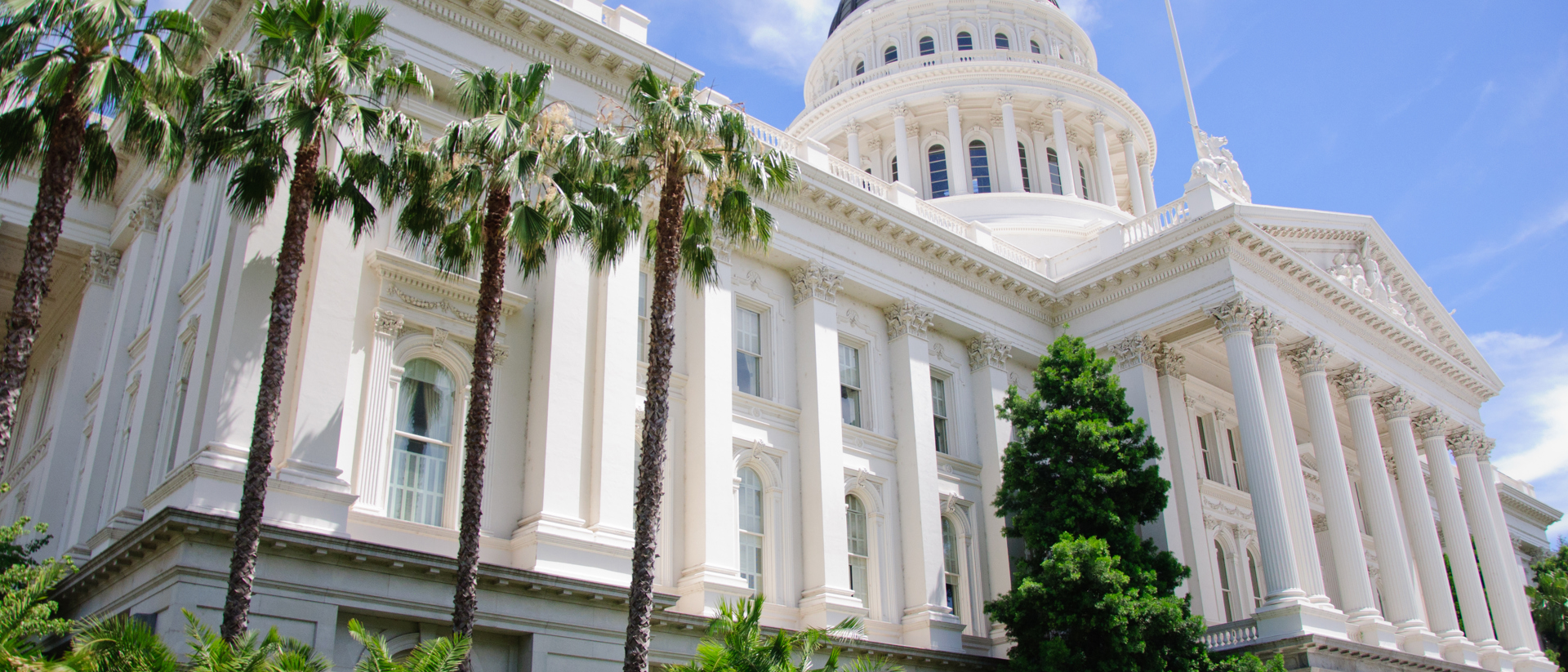 California Legislature